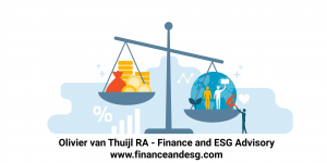 Van Thuijl RA Finance & Organisatie
